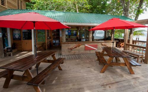 Apartamento Blue Island Divers Casa Descanso