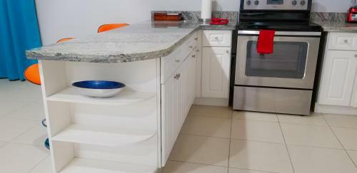 New Kingston Guest Apartments @ Donhead