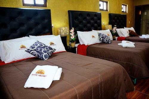 Hotel Milenio