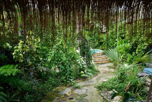 Hostal Barefoot In Barra