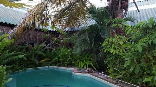 Hostal Barefoot In Barra