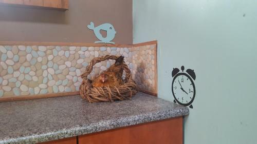Hostal Barefoot In Barra