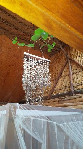 Hostal Barefoot In Barra