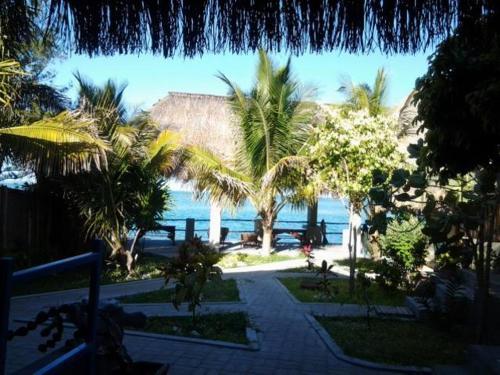 Lodge Dolphin Dhow Safaris