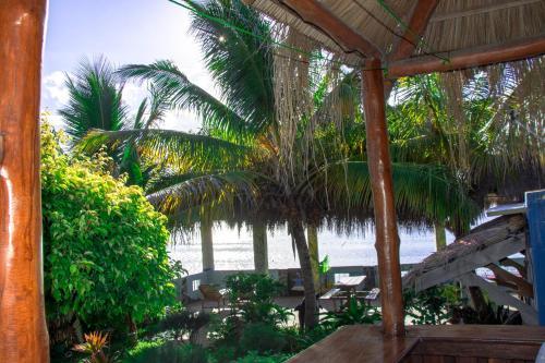 Lodge Dolphin Dhow Safaris