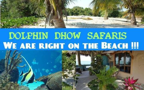 Lodge Dolphin Dhow Safaris