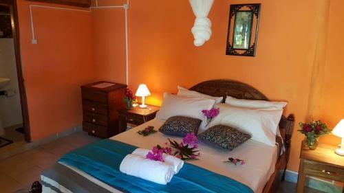 Lodge Dolphin Dhow Safaris
