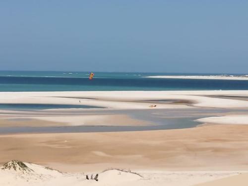 Lodge Dolphin Dhow Safaris