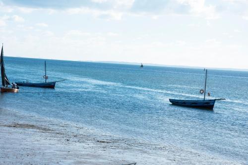 Lodge Dolphin Dhow Safaris