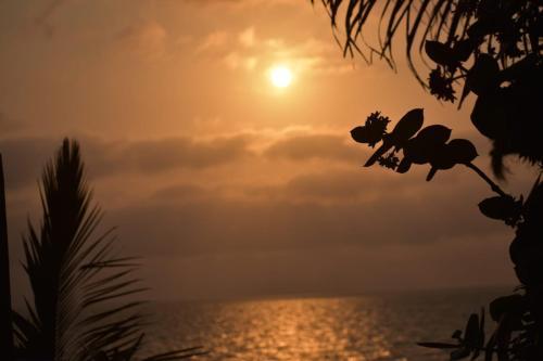 Lodge Dolphin Dhow Safaris