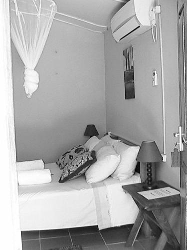 Lodge Dolphin Dhow Safaris