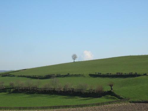 Hotel De Oude Brouwerij