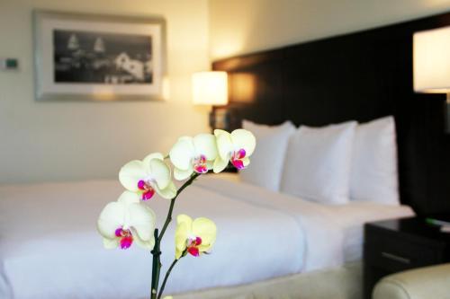 Hotel Courtyard By Marriott Panama At Metromall Mall