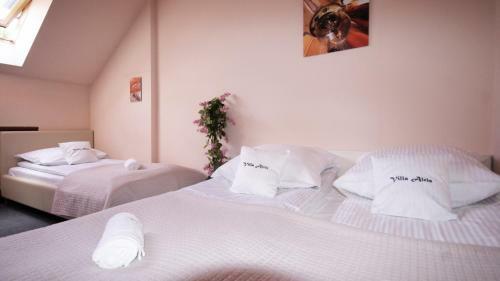 Albergue Villa Alris