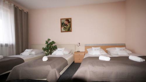 Albergue Villa Alris