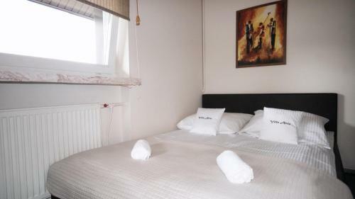 Albergue Villa Alris