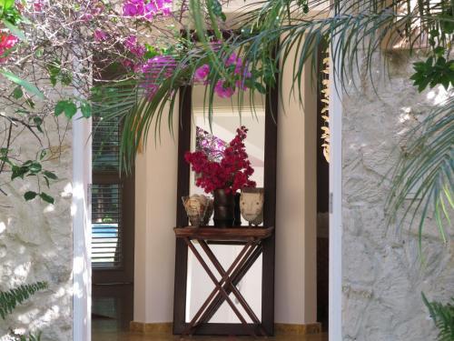Luxury Villas At Sea Horse Ranch