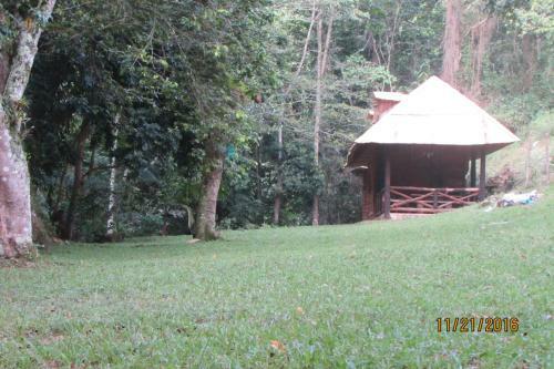 Ebano Verde Waterfall And Ecolodge