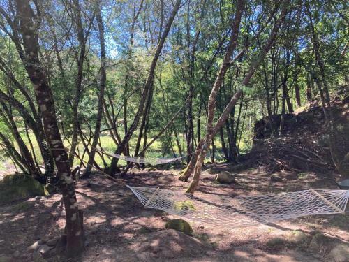 Agroturismo Casa Da Ribeira Do C�rio