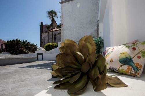Apartment Horta
