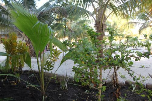 Bed & Breakfast Mpole Bungalows