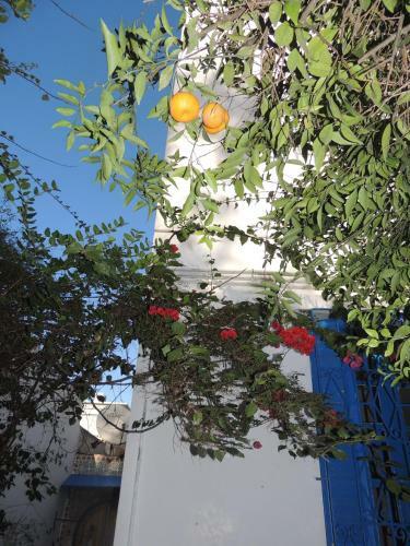 Hostal La Marsa Guest House