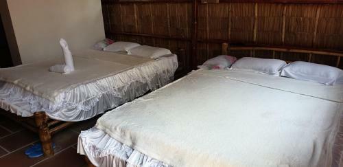 Chau Doc Homestay