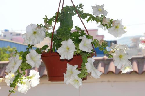 Bed & Breakfast Villa Orion