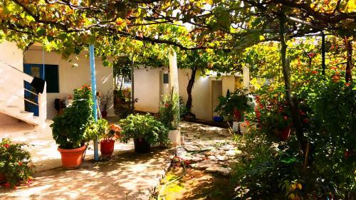 Agroturismo The Grandfather's Room