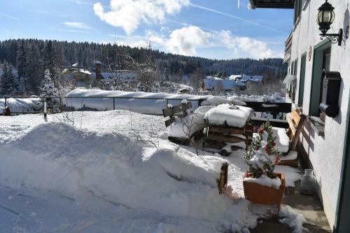 Hostal Pension Wiesengrund