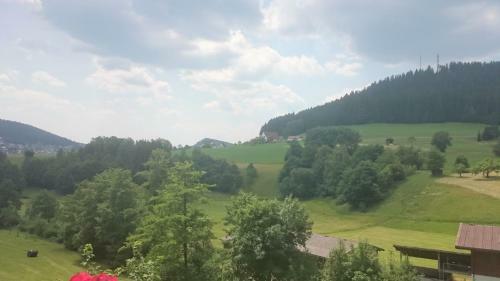 Apartamentos Waldblick