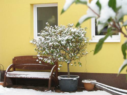 Apartamentos Wellness-ferienhof Am Rebgarten