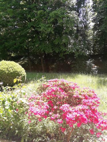 Apartamento At The Turgenev Villa