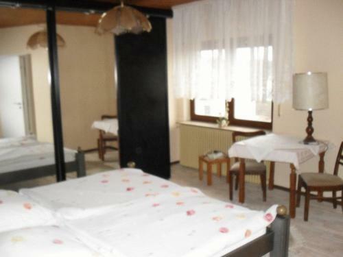 Hostal Gasthof Und Pension Mainzer Rad