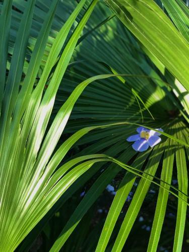 Terra Lodge - Relax & Naturaleza
