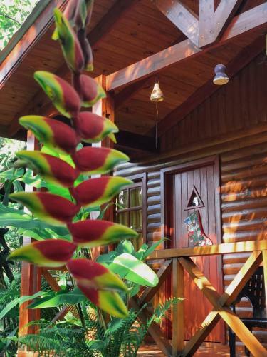 Terra Lodge - Relax & Naturaleza