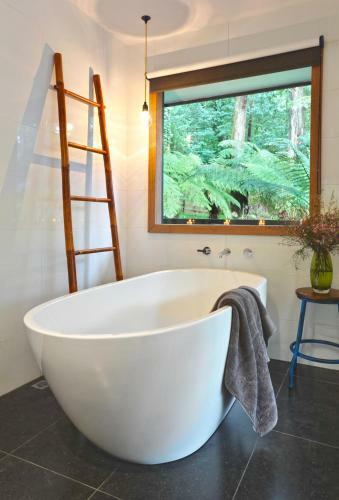 Bed & Breakfast Misty Woods Retreat Olinda