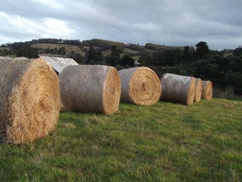 Agroturismo Eden Orchard & Farmstay