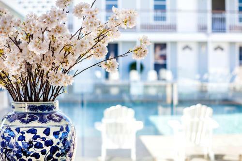 Hotel Rambutan Townsville Yha