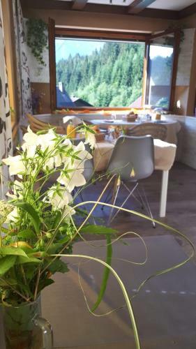Bed & Breakfast Haus Sieben - Singer Lydia