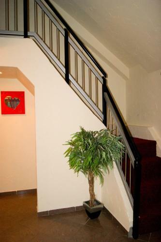 Hotel Schonunger Bucht