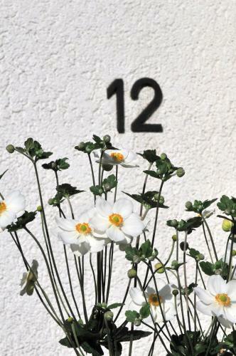 Apartment Bredeney B12.2