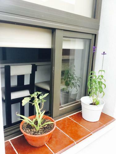 Apartamento La Carolina