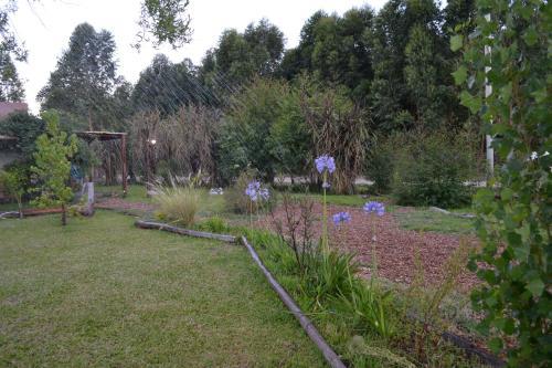 Posada Aratiri Caba�as, Un Lugar En El Bosque..
