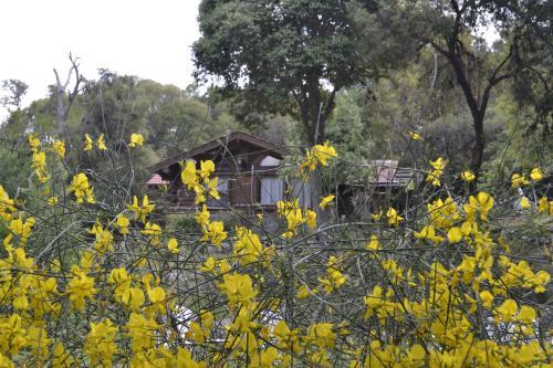 Agroturismo Caba�as De Troncos La Cumbre
