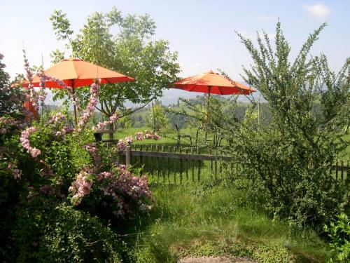 Agroturismo Kultur Weingut K�stenburg