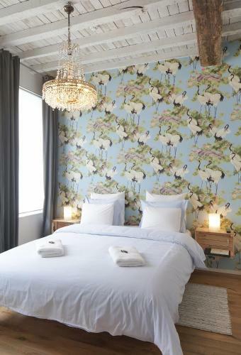 Hostal Alphabed Guest House