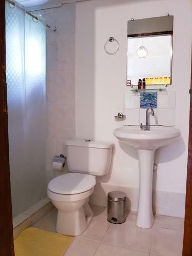 Hostal Pousada Sitio Das Flores