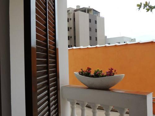 Apartamentos Coral