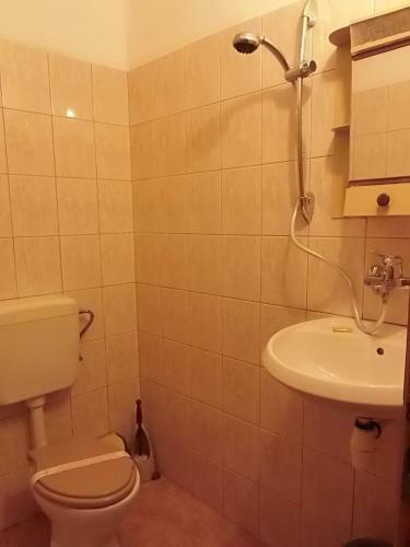 Hostal Zlatna Kotva - Andi